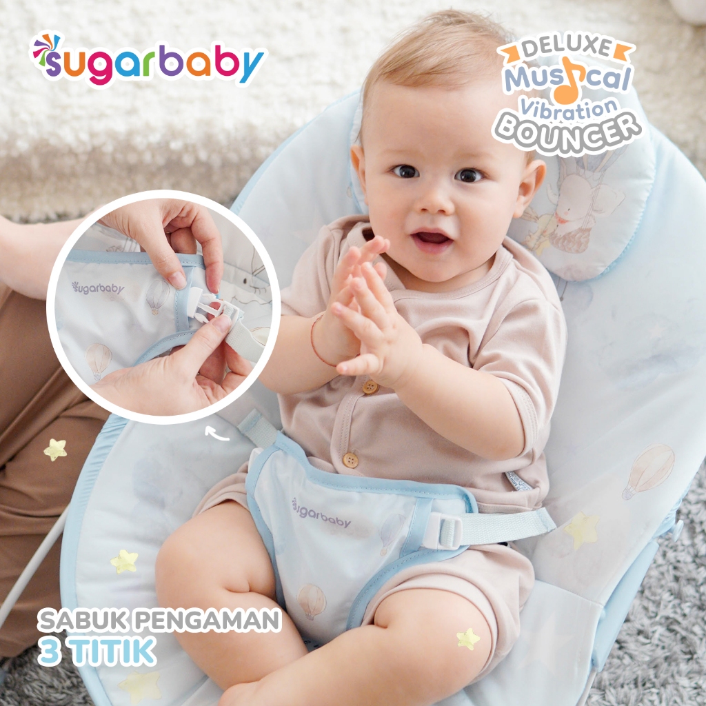 Sugar Baby Deluxe Musical Vibration Bouncer Kursi Ayunan Bayi dengan Musik & Getar Foto 4