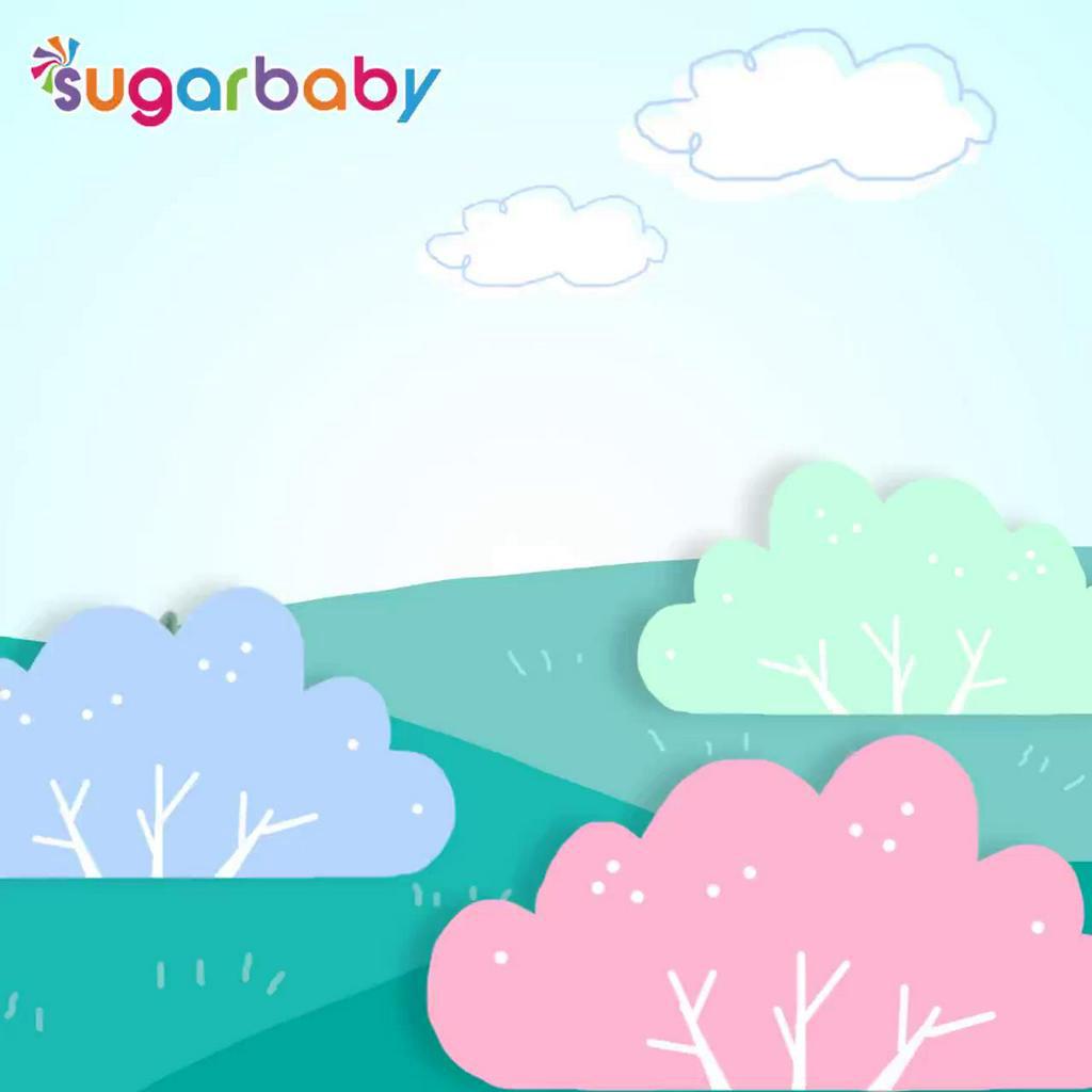 Sugar Baby TRITAN Sippy Cup Rabbit Botol Minum Bayi 270 ml Anti Bocor Sedotan