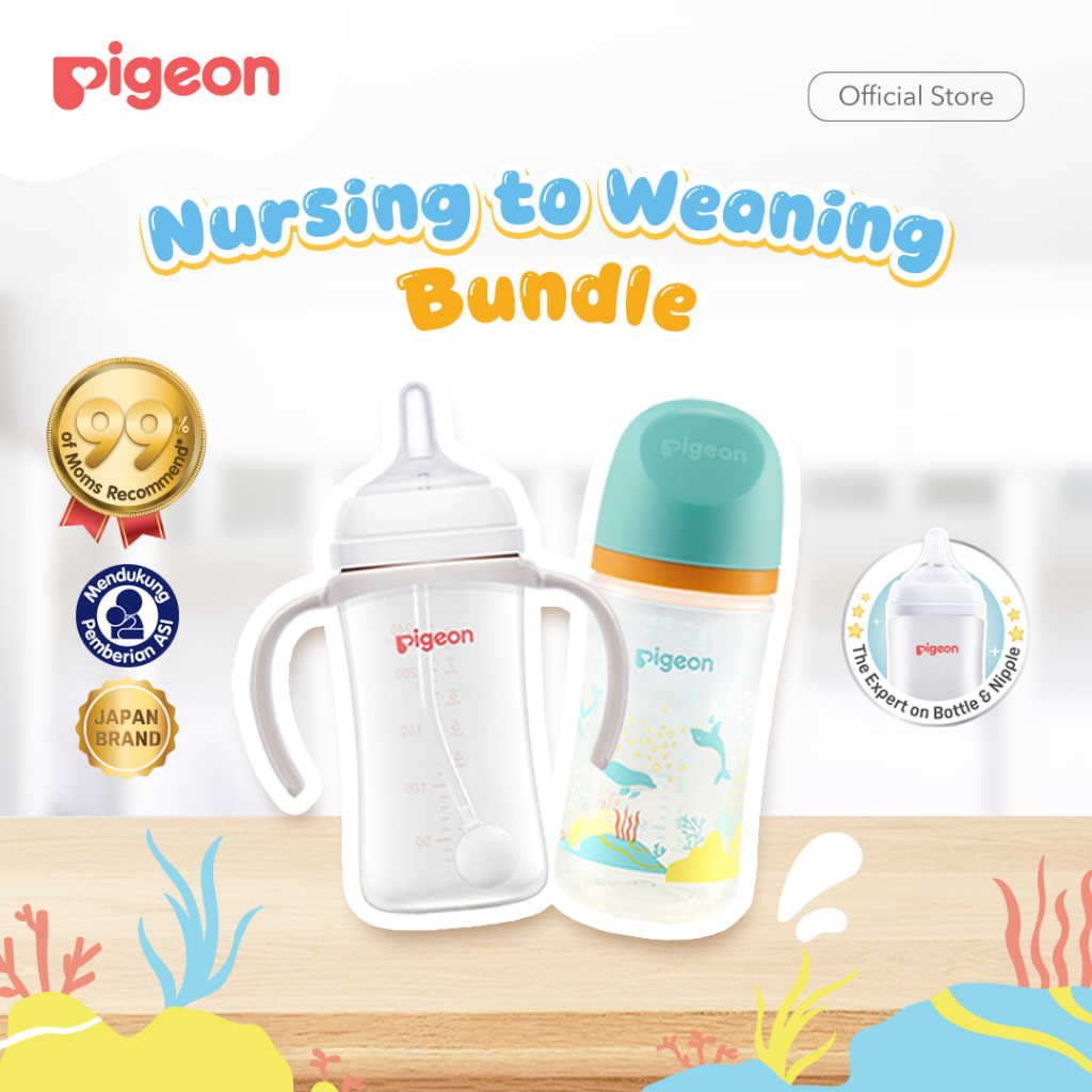 Pigeon Nursing to Weaning Bundle Set Botol Susu Bayi BPP Wide Neck 240ml &